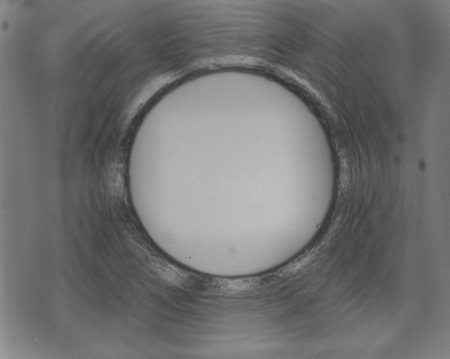 X0000073411266200607280901