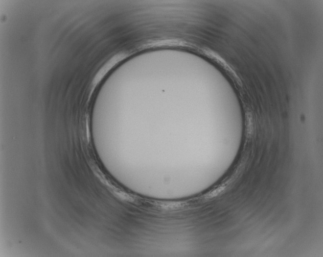 X0000073411274200607280901