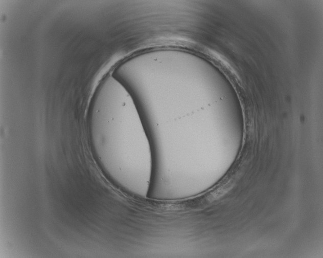 X0000073411275200607280901