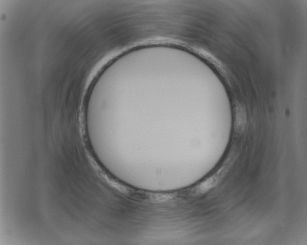 X0000073411278200607280901