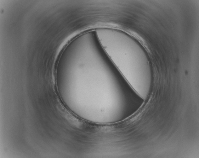 X0000073411280200607280901