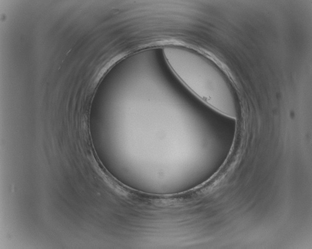 X0000073411281200607280901