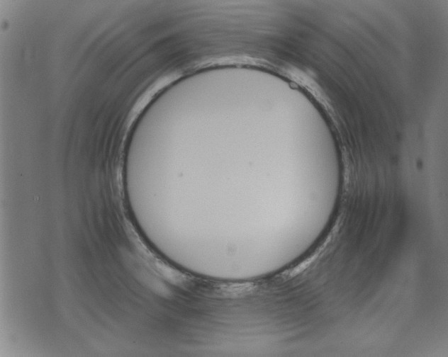 X0000073411282200607280901