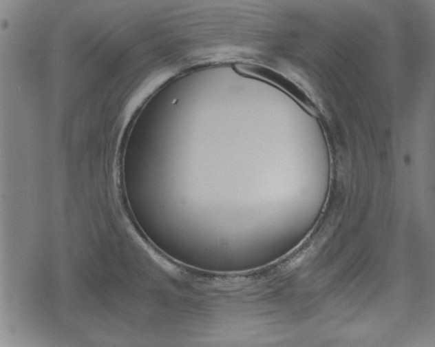 X0000073411285200607280901