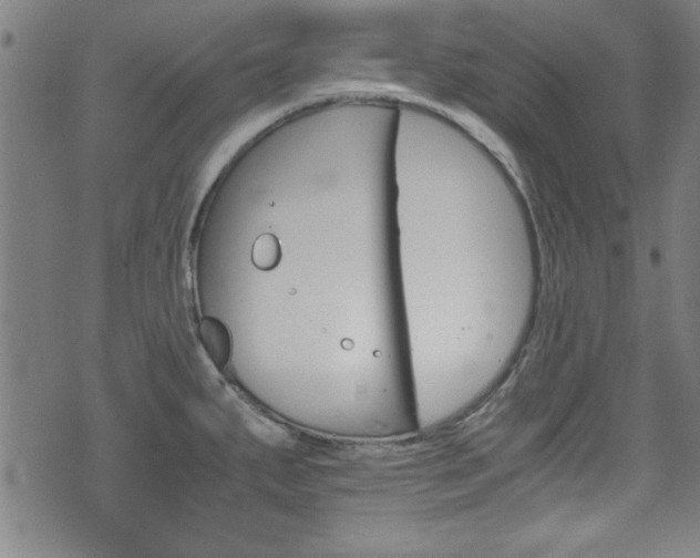 X0000073411287200607280901