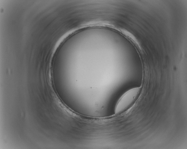 X0000073411288200607280901