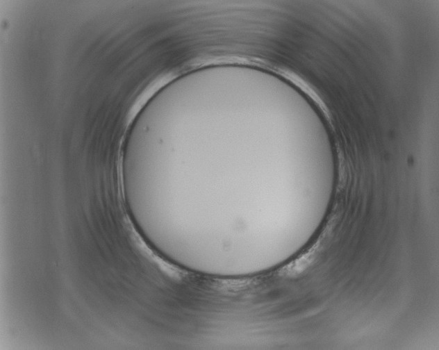 X0000073411290200607280901