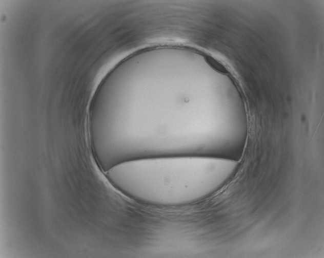 X0000073411295200607280901