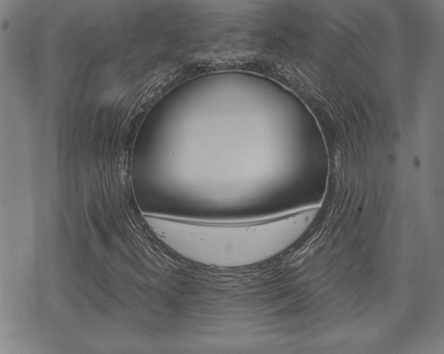 X0000073411300200607280900