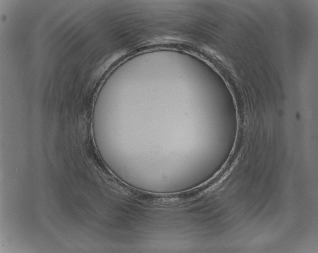X0000073411313200607280900