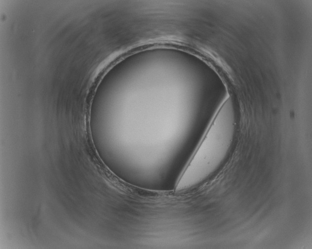 X0000073411316200607280900