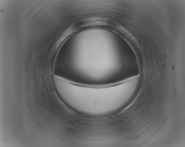 X0000073411321200607280900