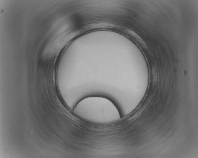 X0000073411322200607280900