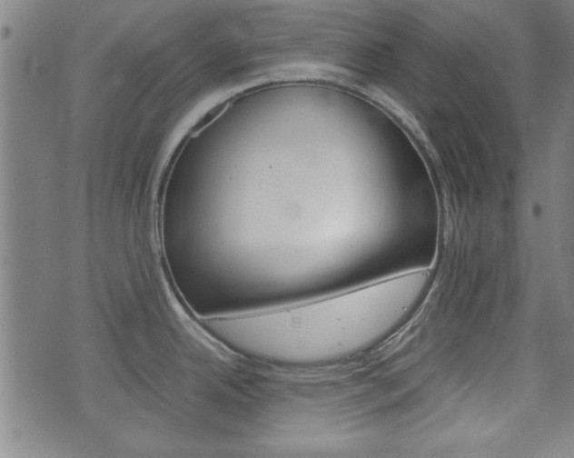 X0000073411342200607280901