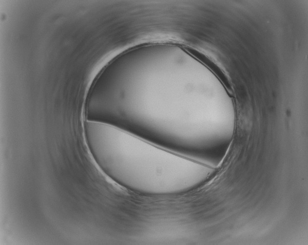 X0000073411343200607280901