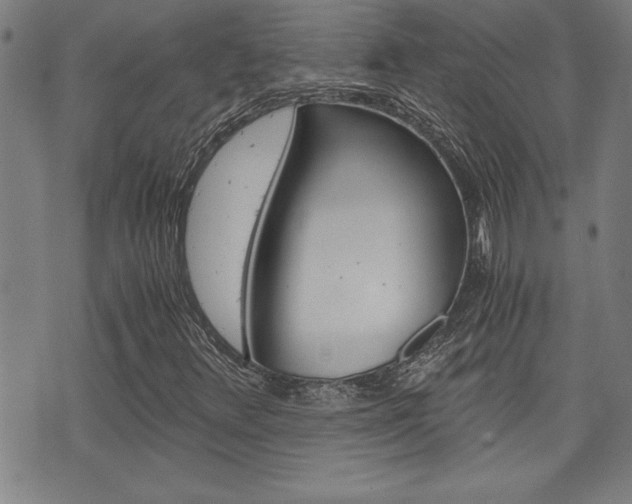 X0000073411348200607280900
