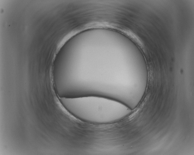 X0000073411382200607280859