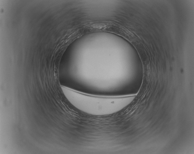 X0000073411394200607280858