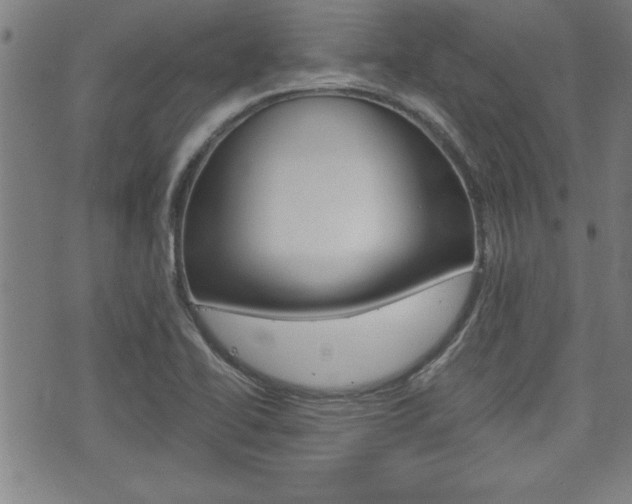 X0000073411414200607280859
