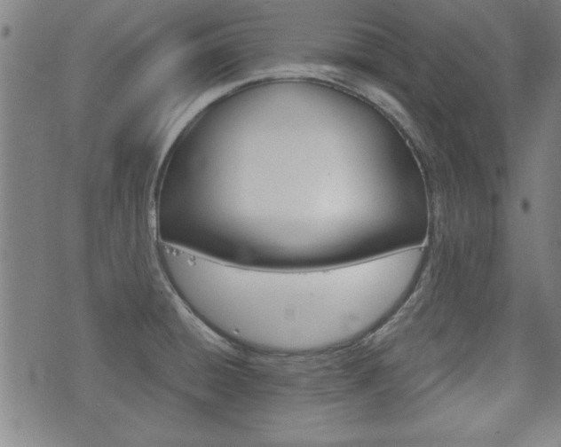 X0000073411428200607280859