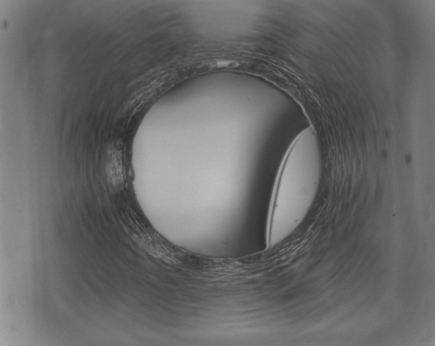 X0000073411442200607280858