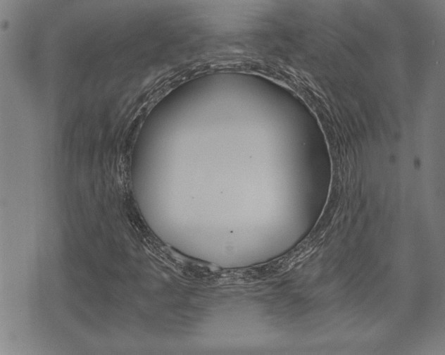 X0000073411445200607280858