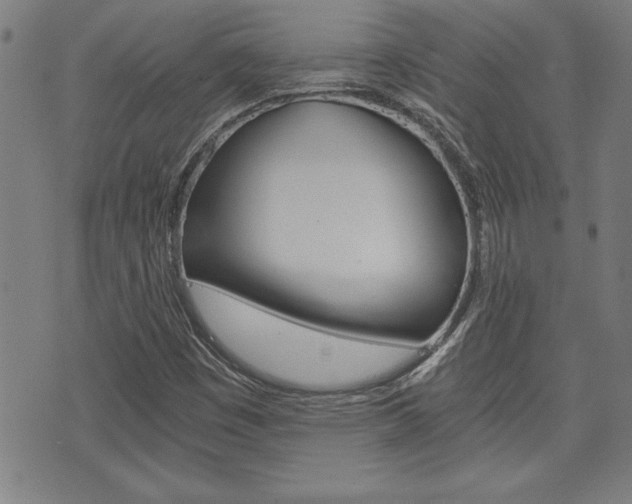 X0000073411449200607280858