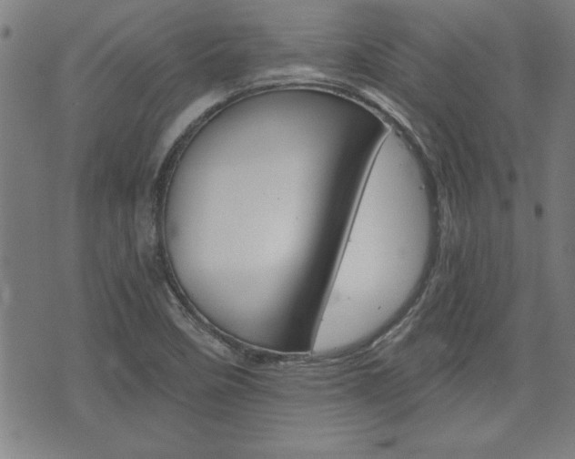 X0000073411458200607280858