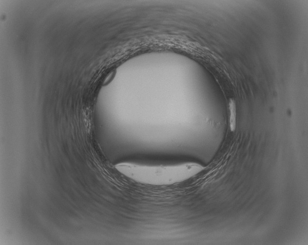X0000073411491200607280857
