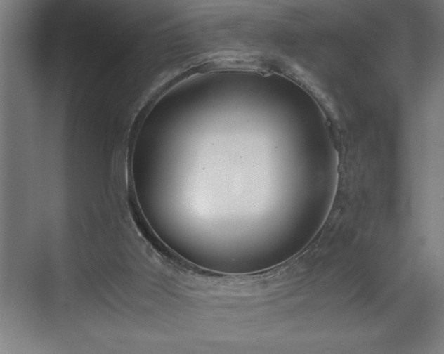 X0000073410011200607281138