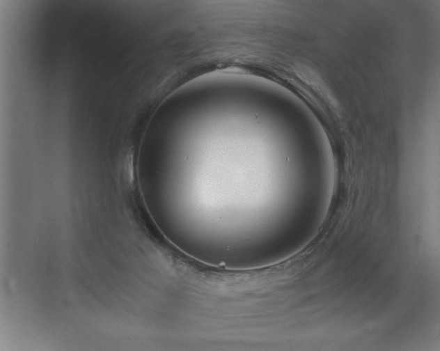 X0000073410021200607281138