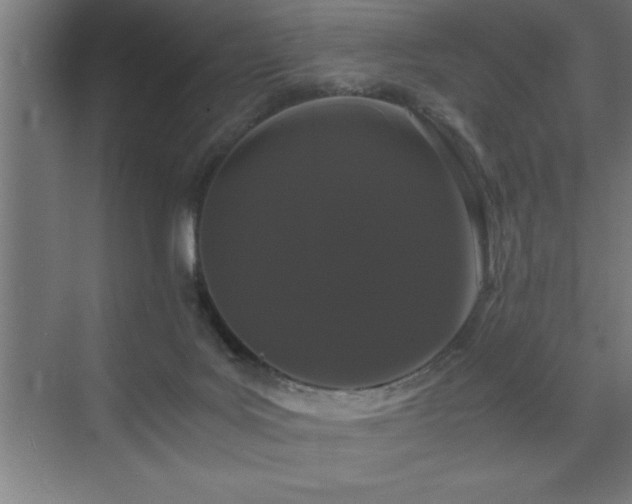 X0000073410027200607281138