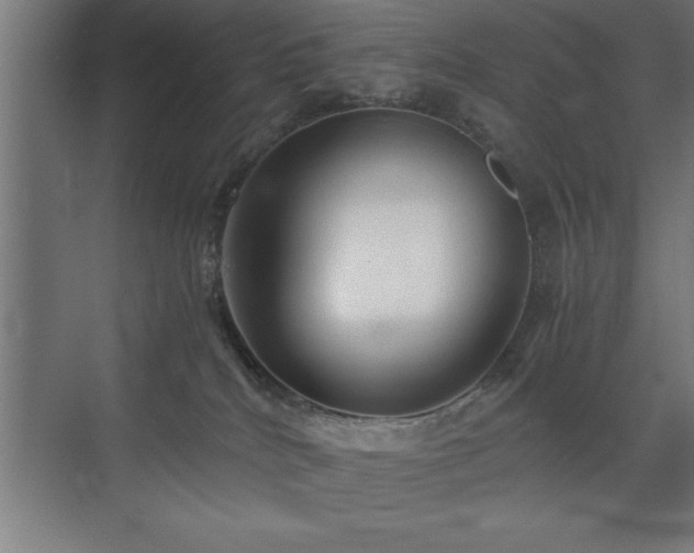 X0000073410040200607281138