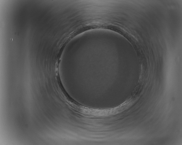 X0000073410048200607281138
