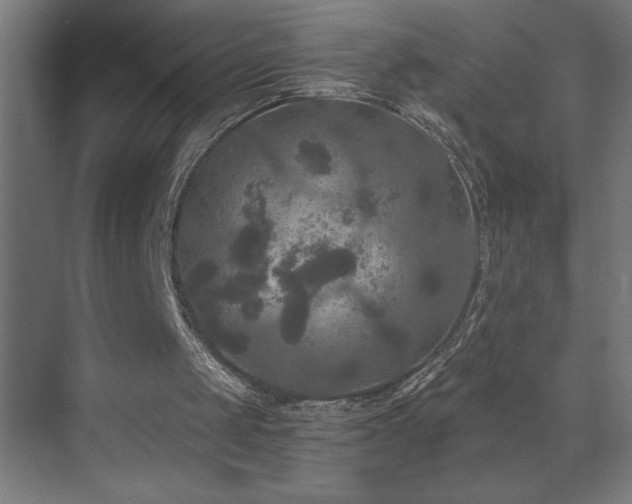 X0000073410049200607281137