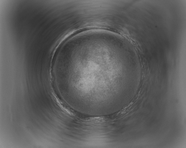 X0000073410050200607281137