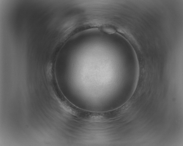X0000073410066200607281137