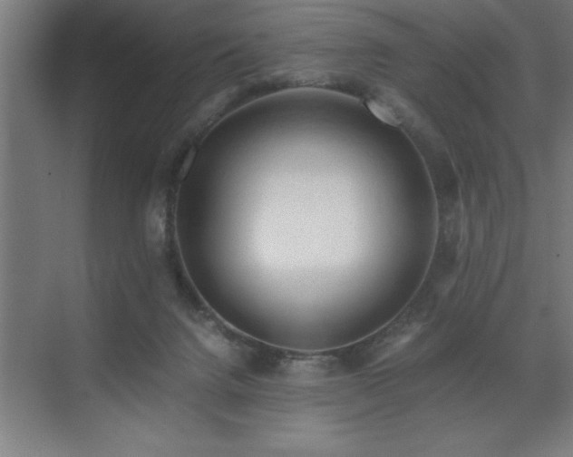 X0000073410072200607281137