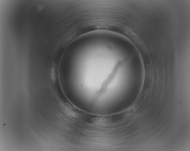 X0000073410074200607281137