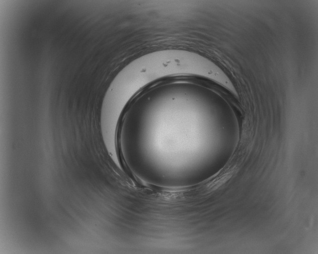 X0000073410096200607281137