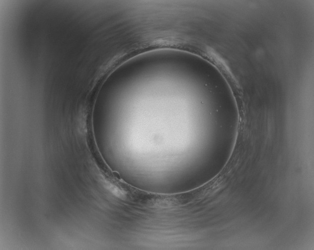 X0000073410106200607281137