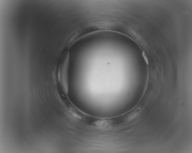 X0000073410117200607281136