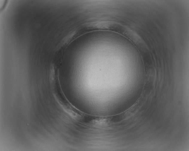 X0000073410120200607281136
