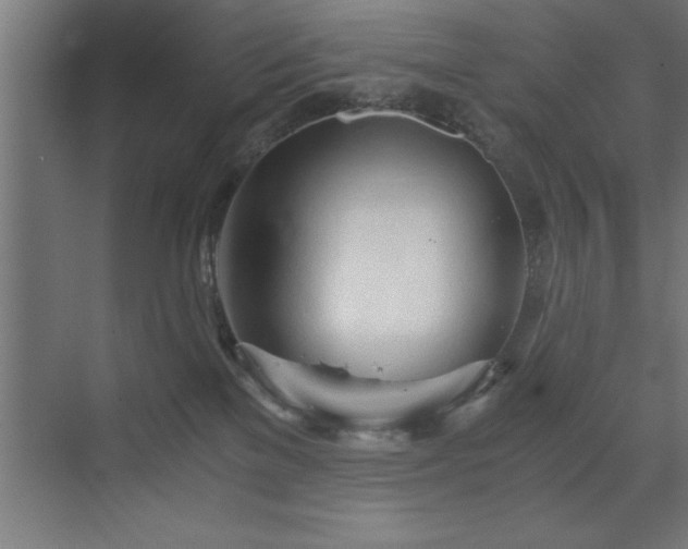 X0000073410137200607281136