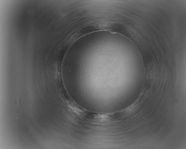 X0000073410140200607281136