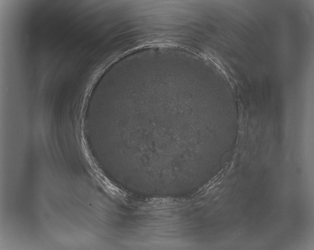 X0000073410145200607281135