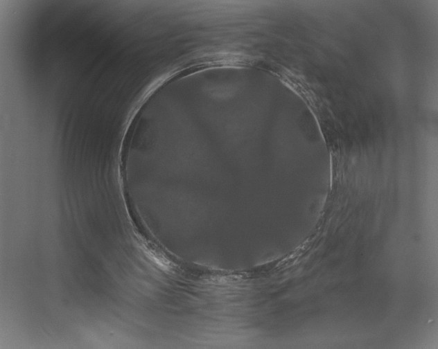 X0000073410147200607281135