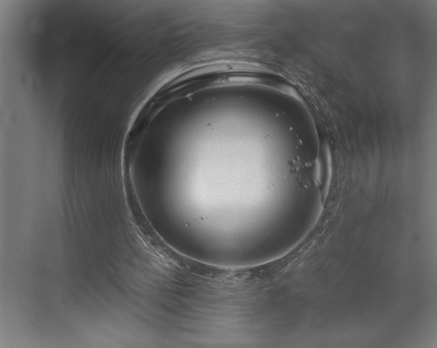 X0000073410148200607281135