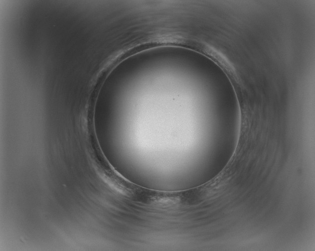X0000073410155200607281135