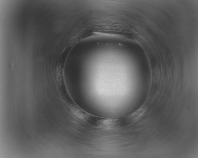 X0000073410184200607281136